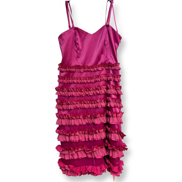 Enchanted By Ann Louise Roswald Pink Party Dress - Size 14 - New