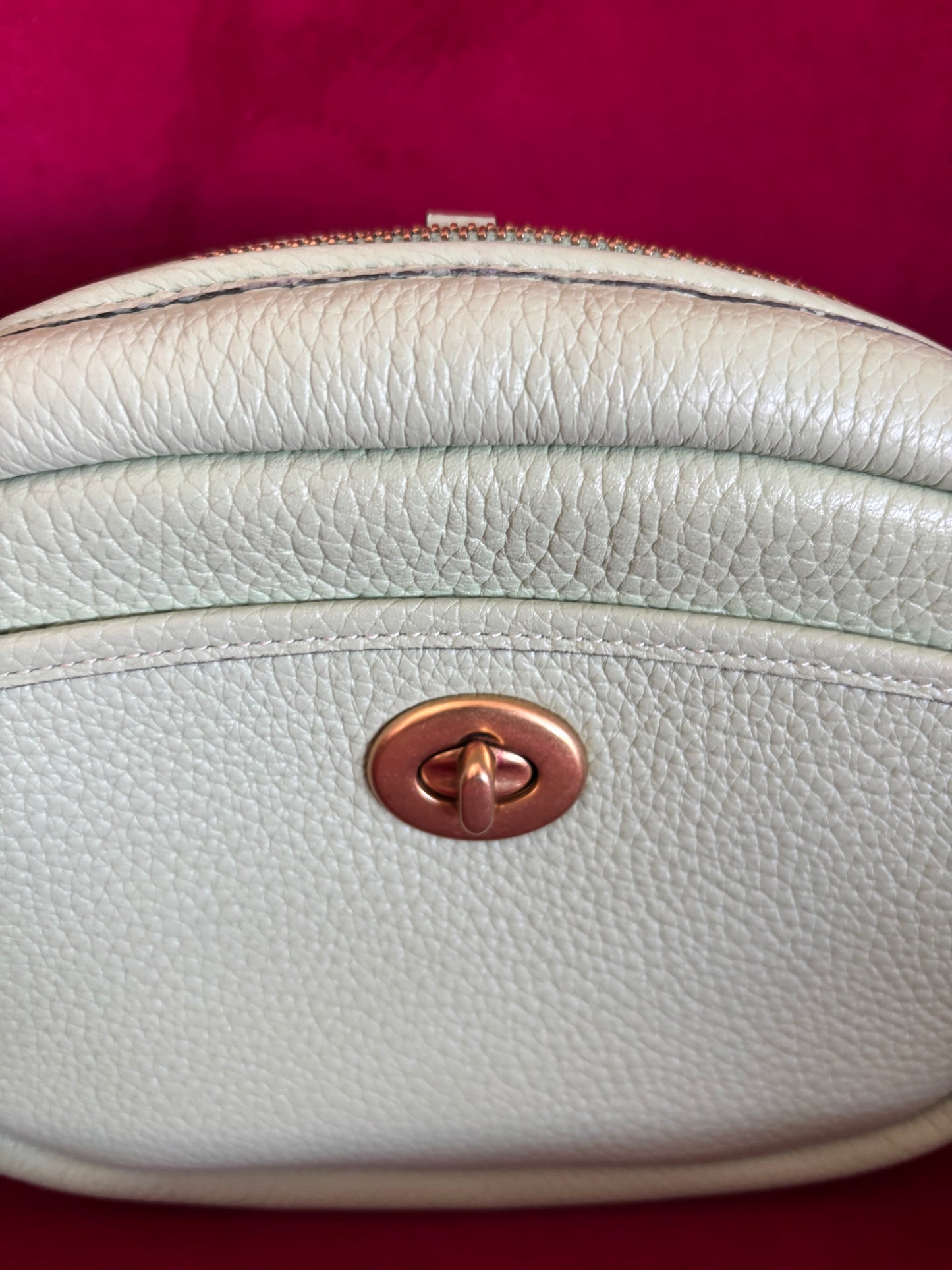 Coach Pebble Camera Bag