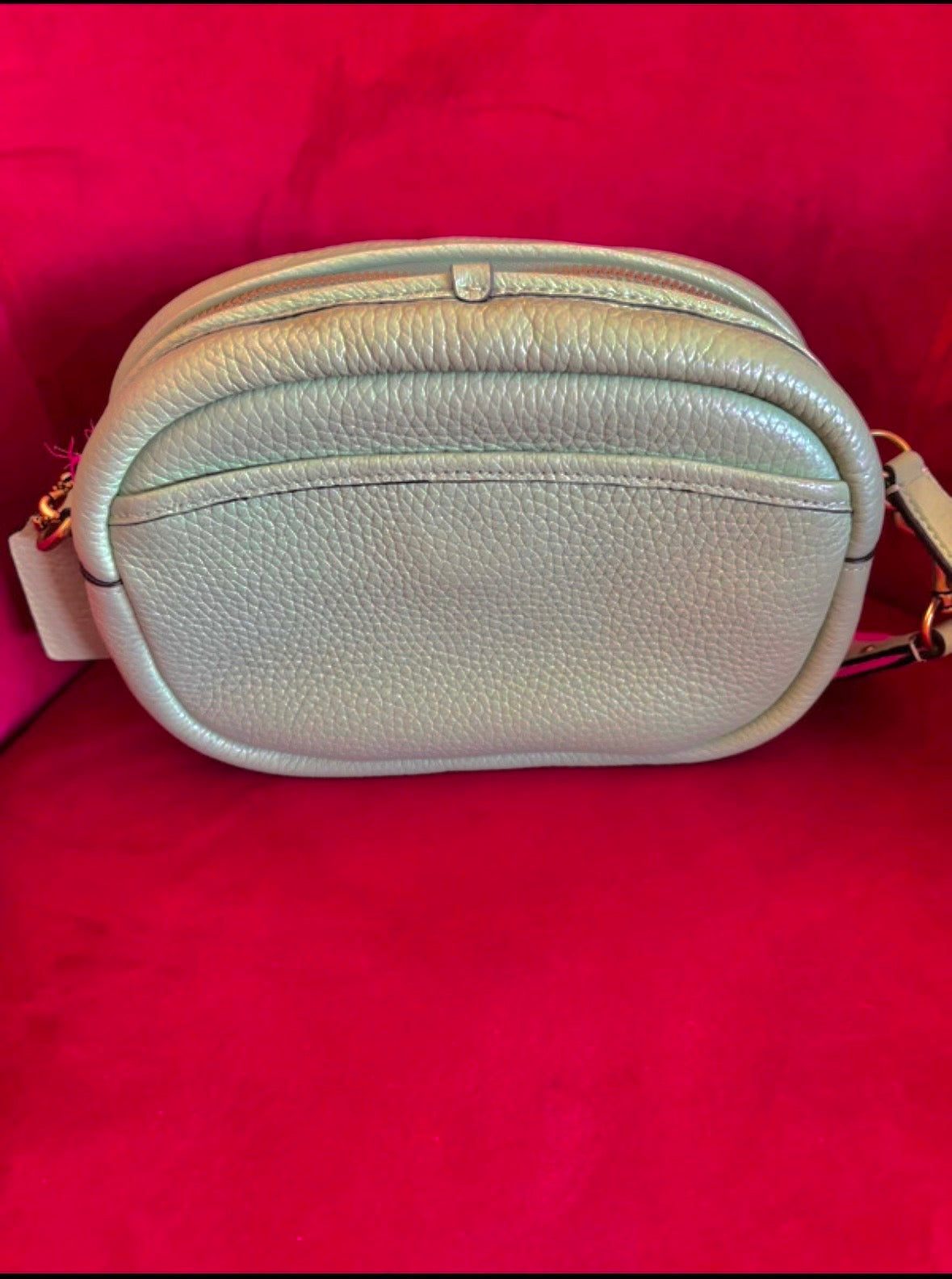 Coach Pebble Camera Bag