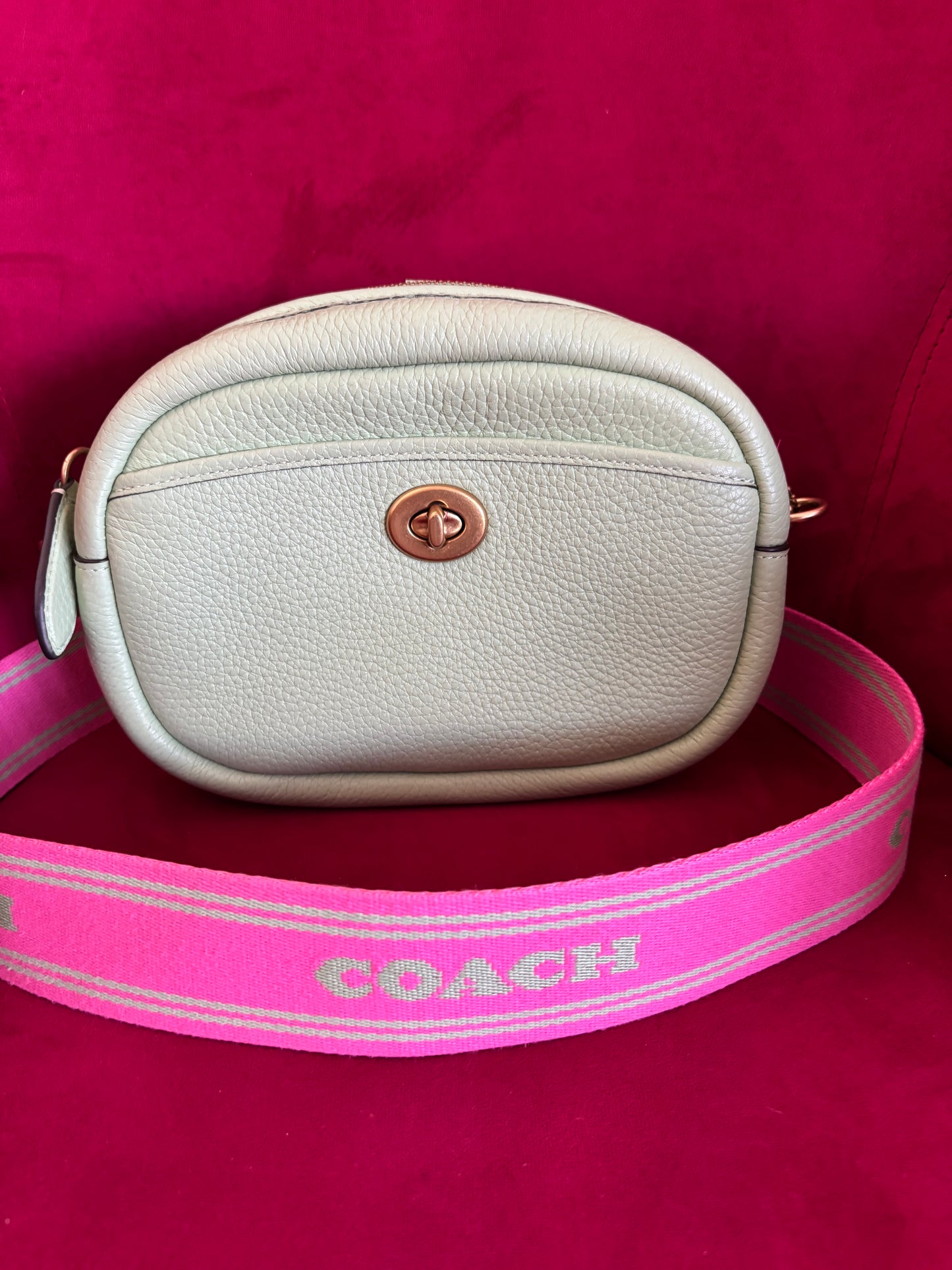 Coach Pebble Camera Bag