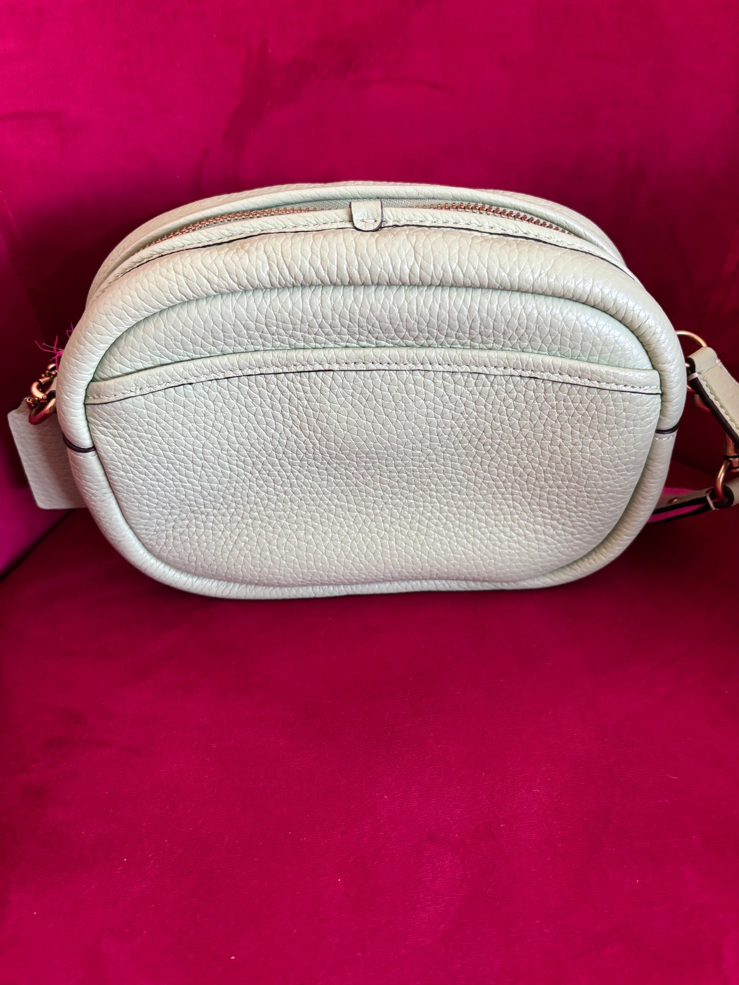 Coach Pebble Camera Bag