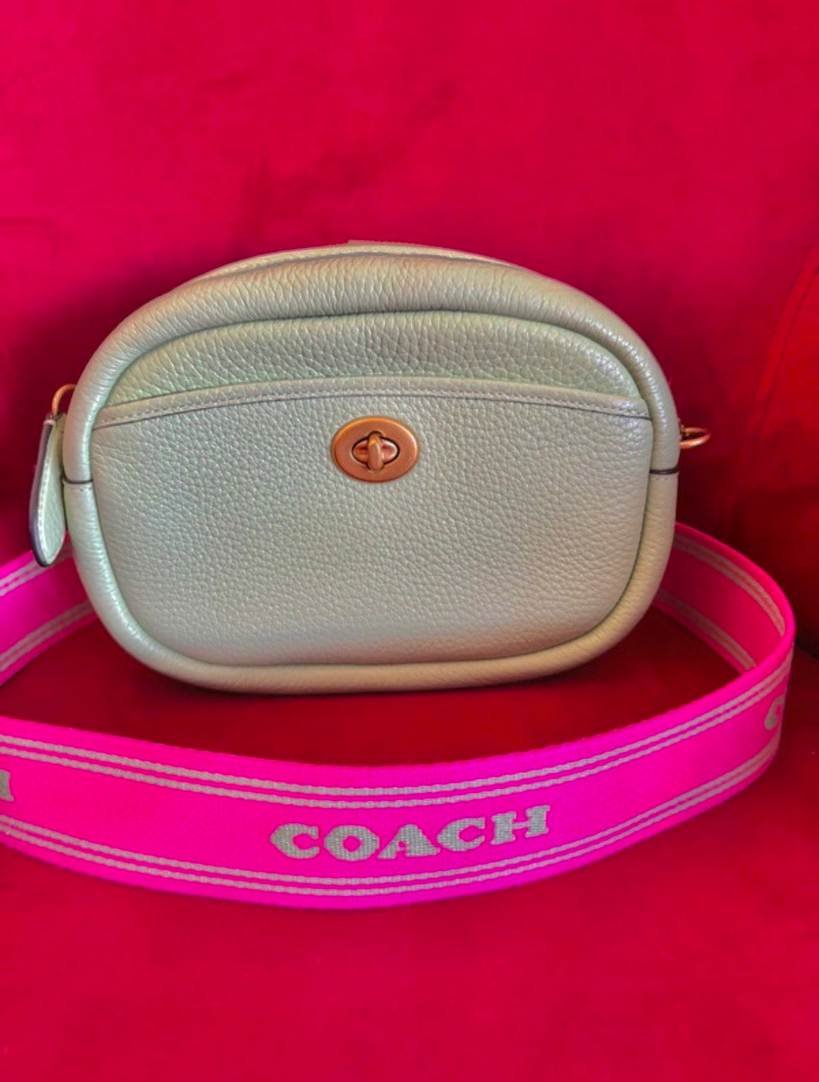 Coach Pebble Camera Bag