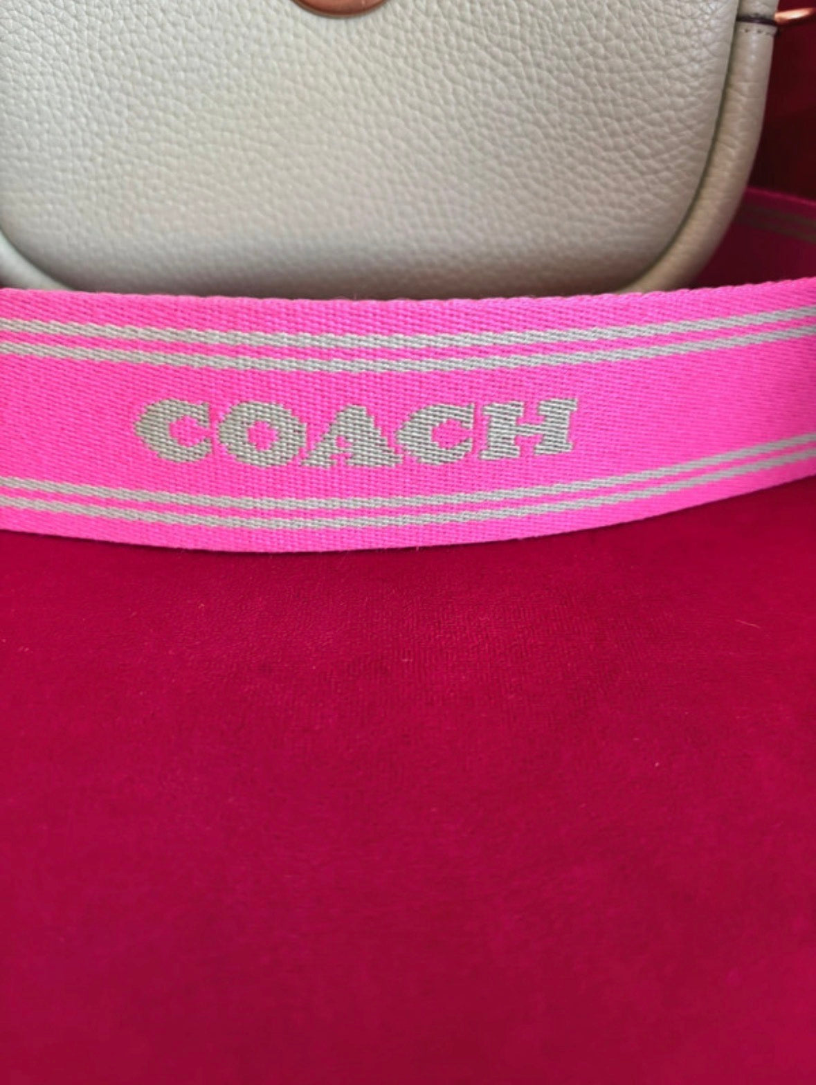 Coach Pebble Camera Bag