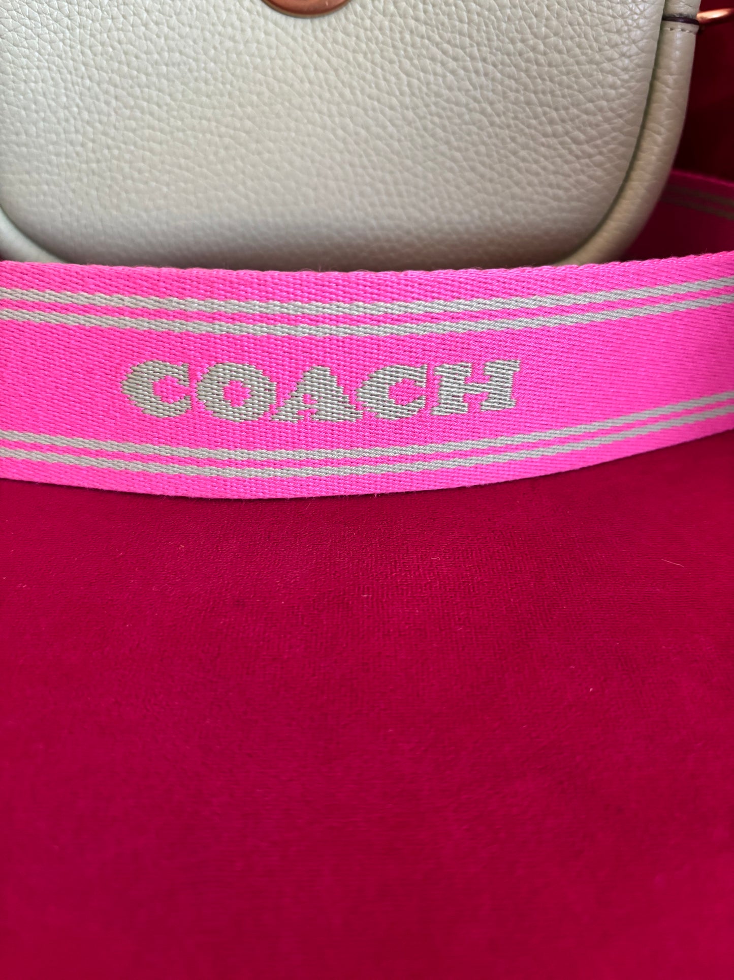 Coach Pebble Camera Bag