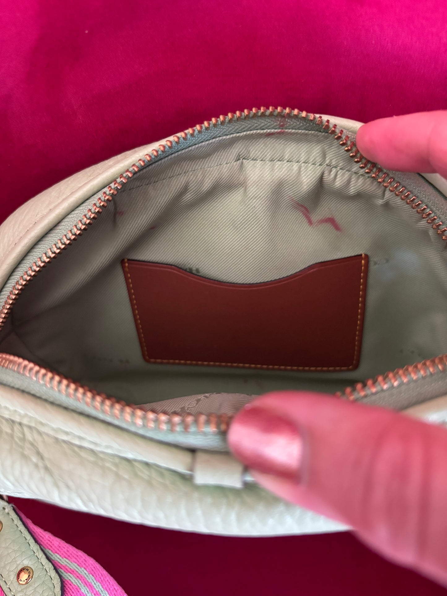 Coach Pebble Camera Bag