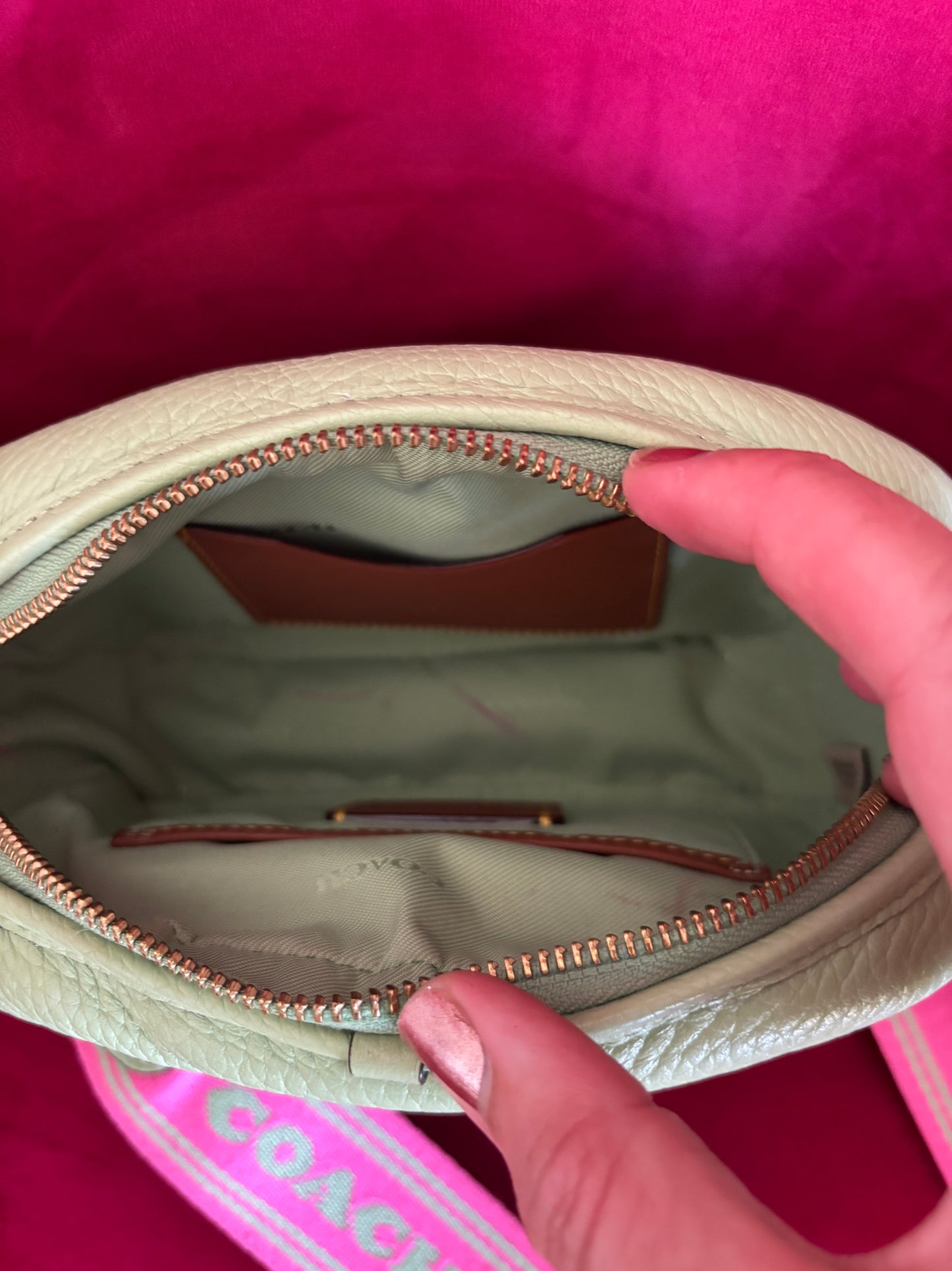 Coach Pebble Camera Bag