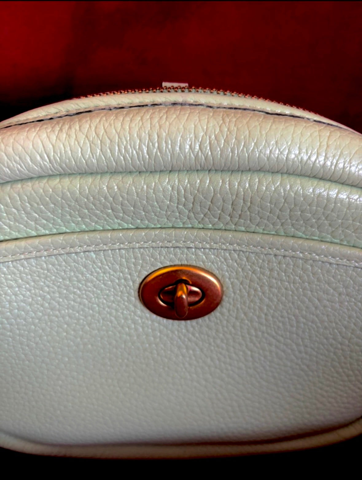 Coach Pebble Camera Bag